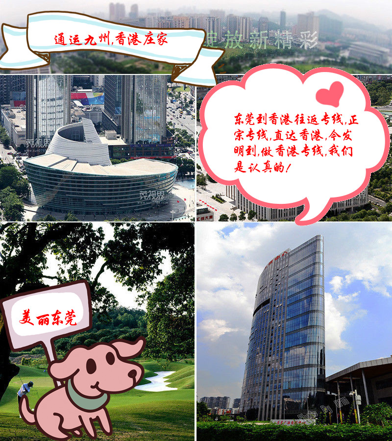 東莞到香港貨運(yùn)公司，東莞到香港物流公司，東莞到香港運(yùn)輸公司，東莞到香港的物流，直達(dá)香港，安全高效有保障